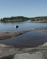 Stunning 18 - 87-0094