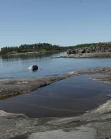 Stunning 18 - 88-0095